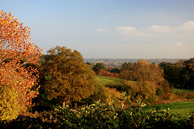 Glorious autumn colours over the garden fence