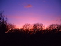 A Cold Winter Evening