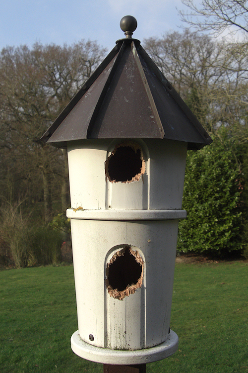 Bird box ruined by woodpeckers