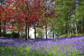 Glorious spring colours